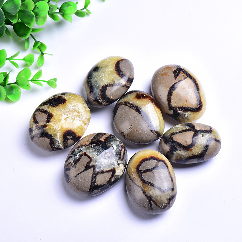 Natural Crystal Rough Turtle Back Stone Rough Stone Handle Handle Piece Mineral Crystal Jewelry Home Decoration Crafts